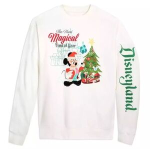 Disneyland Christmas pullover